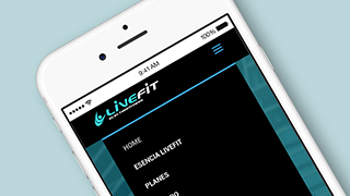 DeOZ Estudio de Diseño y Desarrollo Web Viña del Mar