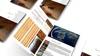 DeOZ Estudio de Diseño y Desarrollo Web Viña del Mar