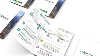 DeOZ Estudio de Diseño y Desarrollo Web Viña del Mar